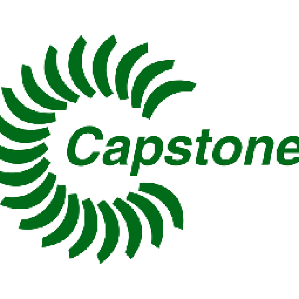 logo Capstone